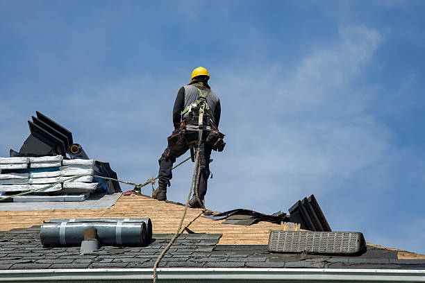 Professional Roofing technician working in Lobeco, SC